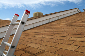 Photo of a ladder leaning against a roof