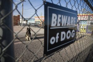 Dog Bite Lawyer Rockland County, NY with a Beware of Dog sign on a fence and a dog in the background